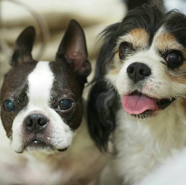 C149feeb f58e 4c31 97d9 06e0d7a0bc05