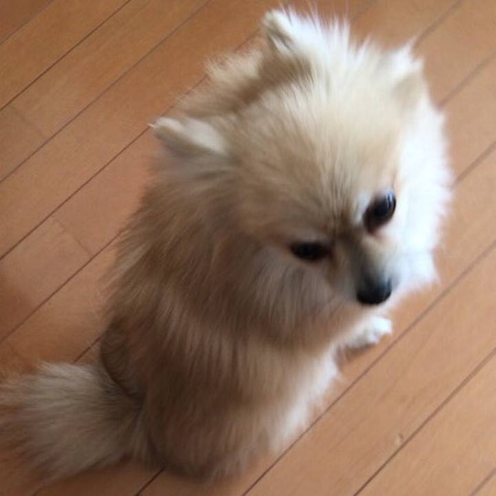 C14a25ed 3586 4295 b351 89f459888440