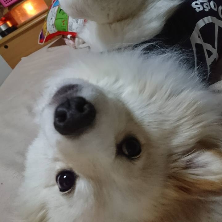 C14a3105 3421 44e9 9fb4 84295945f94f