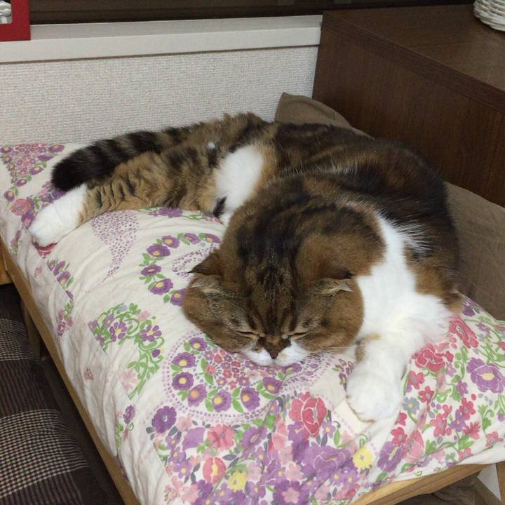 C14a6a0d bbf7 4489 a9ca 1c2e5c708cd0