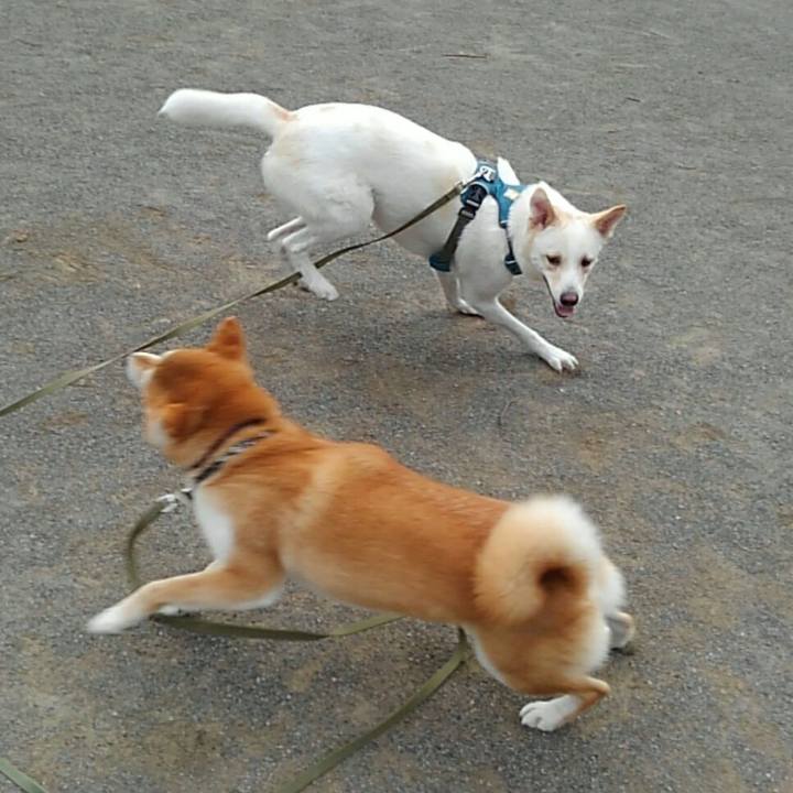 C14afd44 62be 4c2d b3c5 83593725ed91