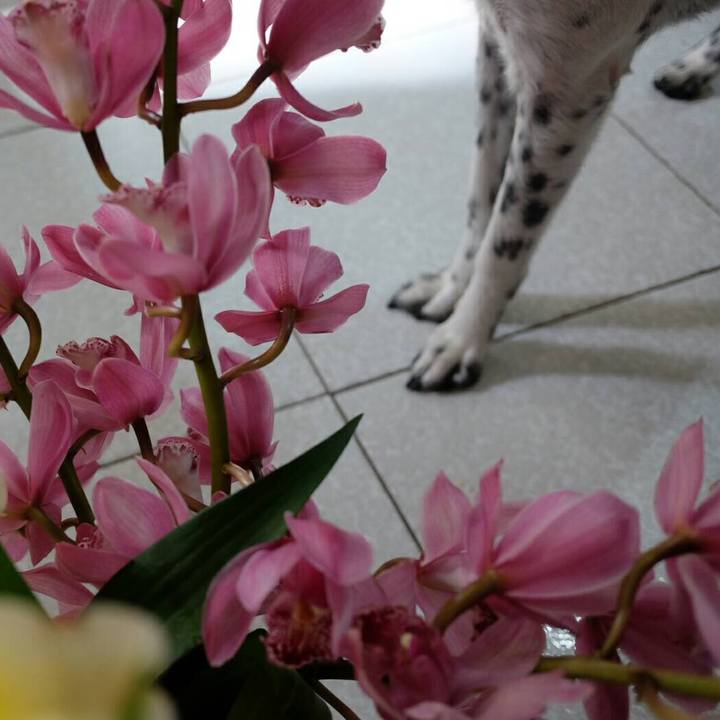 C14ba73b 508f 4ce5 a566 0e66468682f9