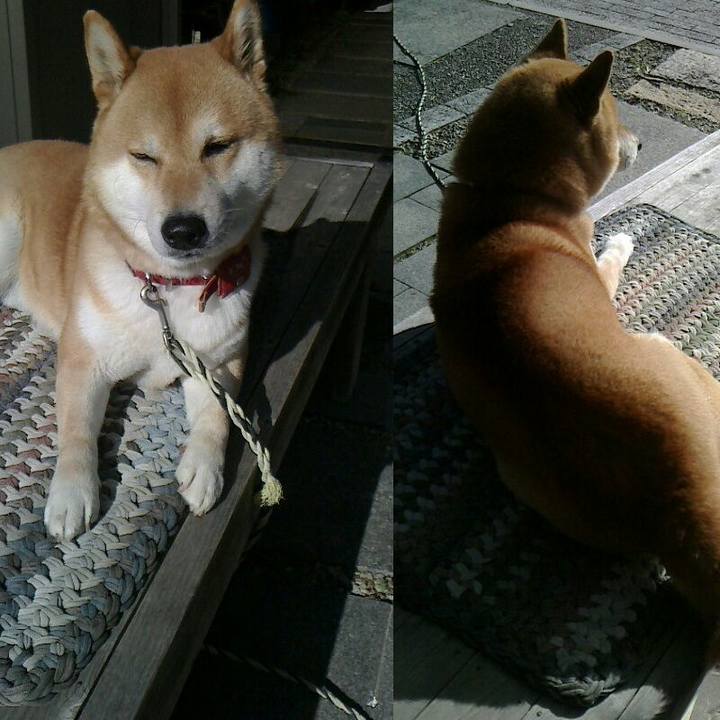 C14bb60d c59c 41be a0e1 13d04b7f5f4a