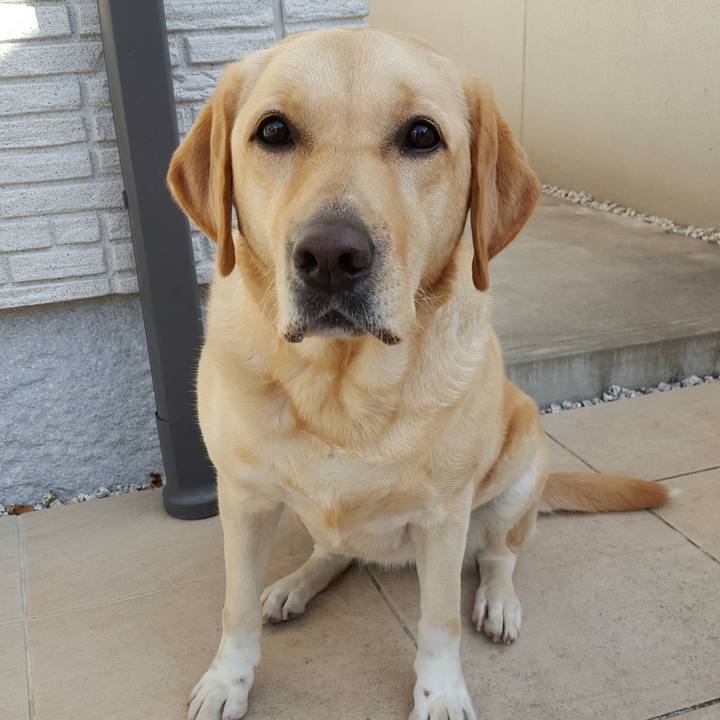 C14c8c94 ed15 43c7 90a2 8e18447e40e2