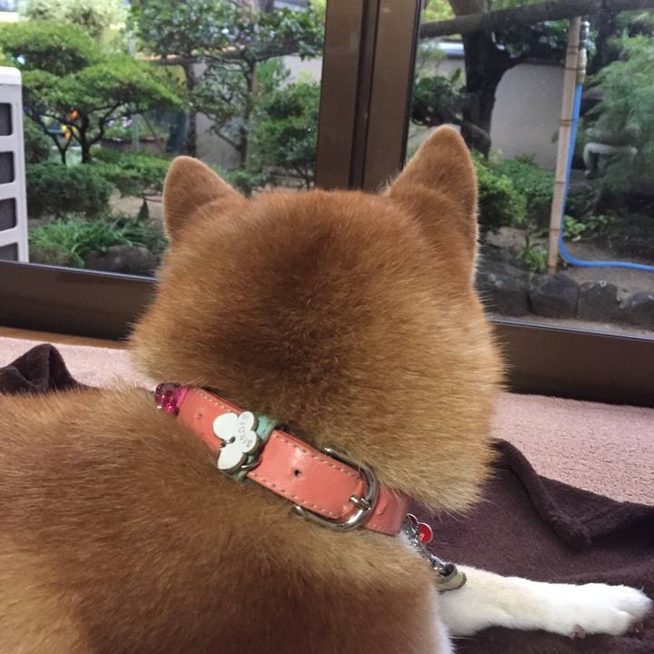 C14df6d6 bab2 4e85 bcf8 b584f342480d