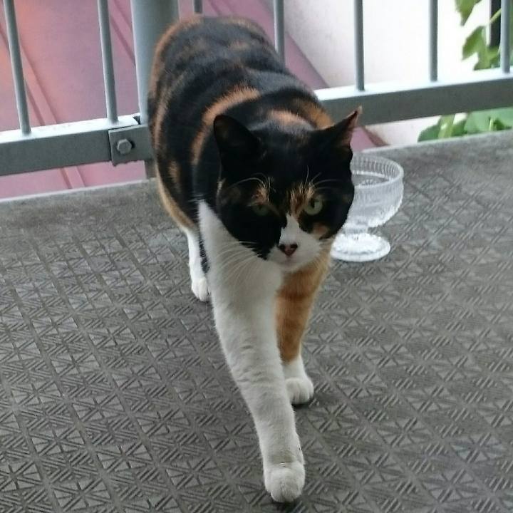 C14df861 2a3e 4394 8f91 edd96eb008b6