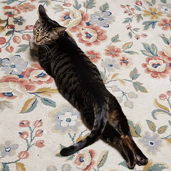 C14e0540 349f 404e 8382 5f166af1820f