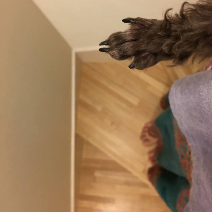 C14e379b 3e51 4d51 8713 5b3ae3d8fe43