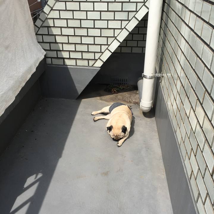 C14e5a97 4516 4329 ad08 67e039f23303