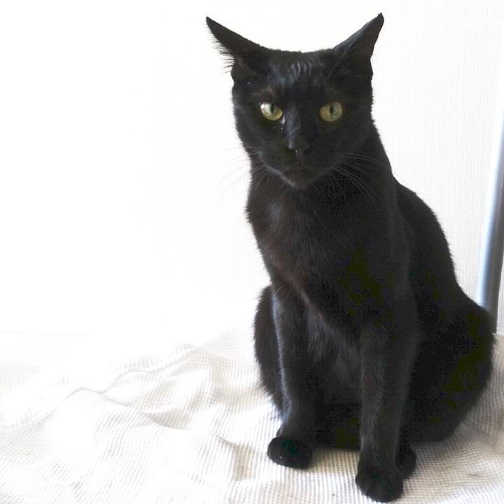 C14ee988 0f4b 4f9d bfef 33cfa64740d8