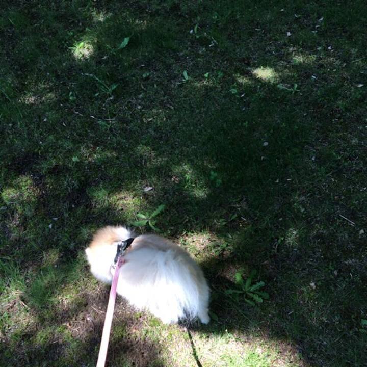 C14f055e 4dc9 4106 8df0 7400afc647d6