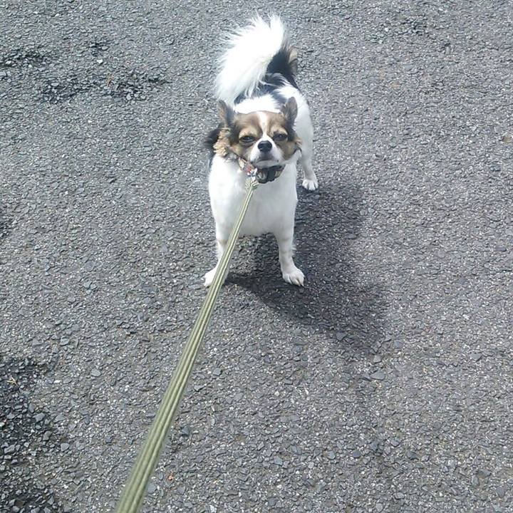 C14f4108 0e7c 40b0 a05e 00f27805c6aa