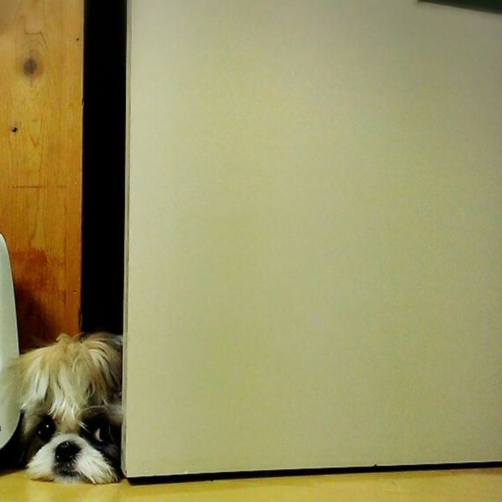 C14f5c49 c061 4c2e 88f5 943ede47950b