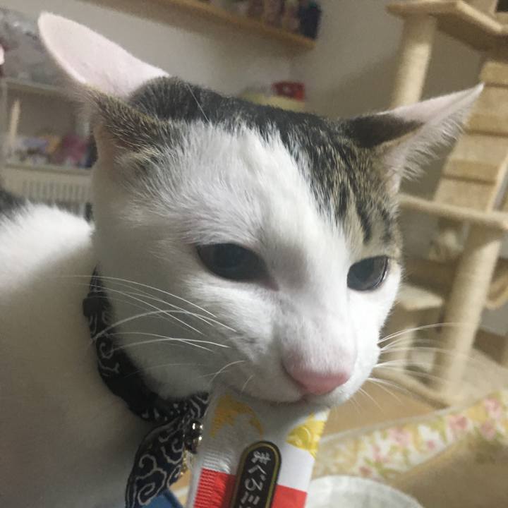 C14f62f7 63bb 4df6 bbd7 4cc47cefd971