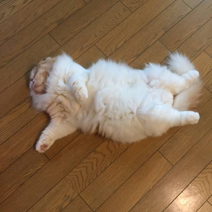 C150a066 1b1f 46ed b46c 78dfb6b76ca3