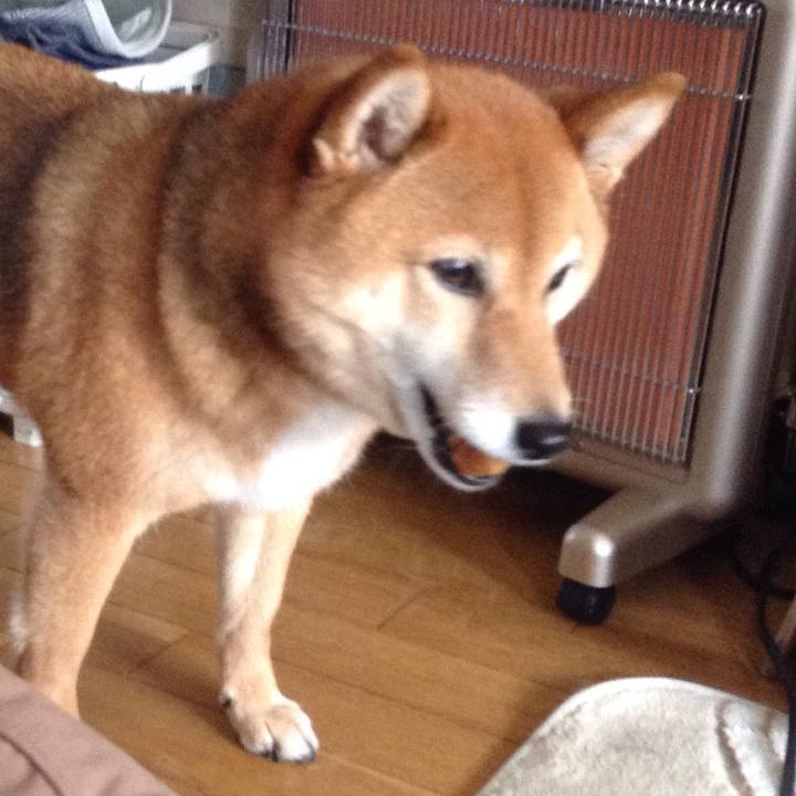 C1511298 f2ea 417f b8bd 42051a623796