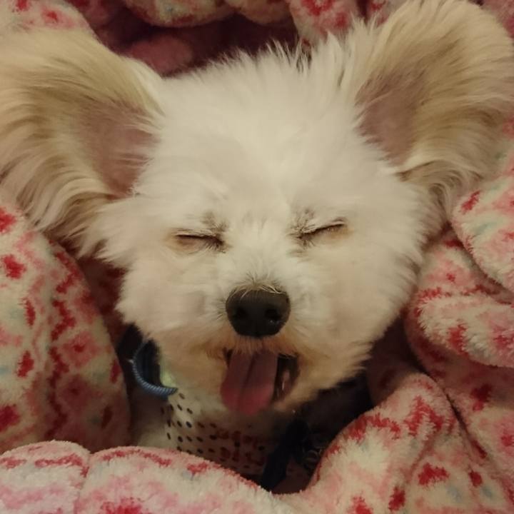 C1519ac9 e042 441f 88d3 d1c8922d2539