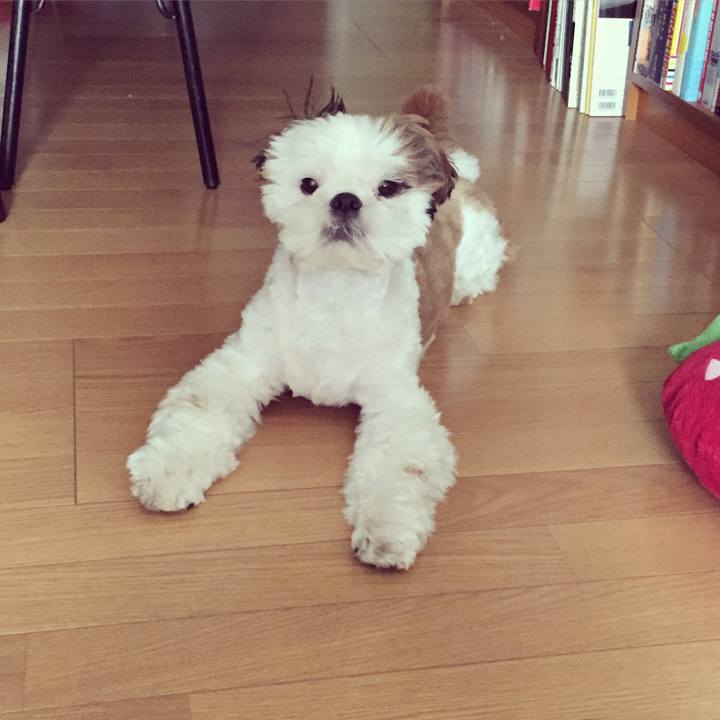 C15219b9 f39c 41f5 b11c 065b3996e57d