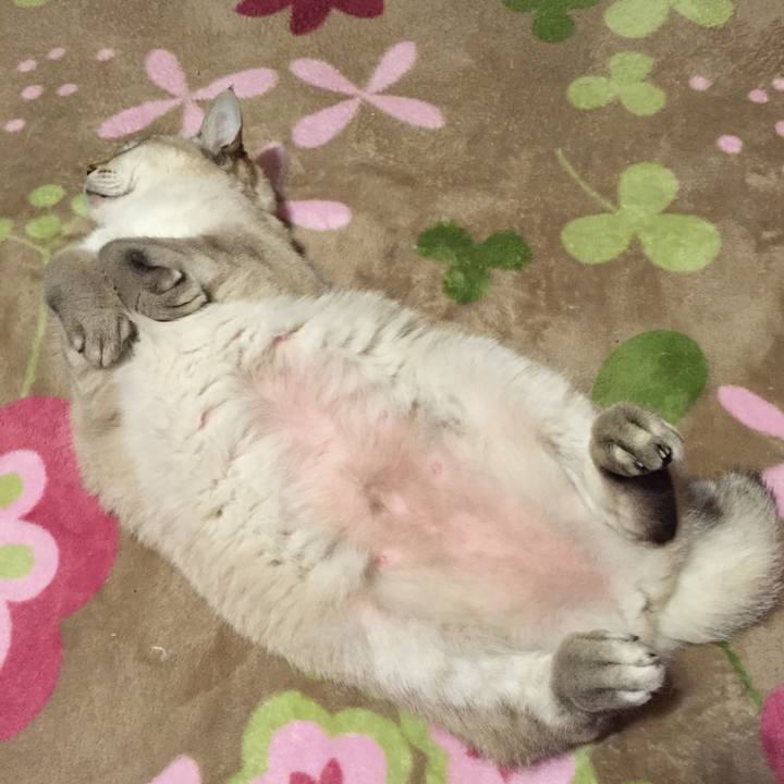 C15287c6 42d3 4042 8516 75370e9fce25