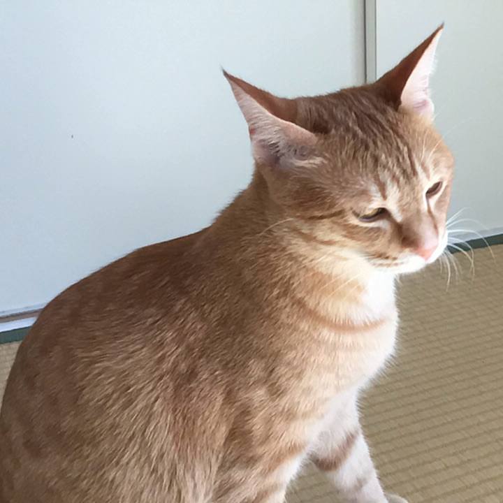 C152bac9 f9fd 4516 abd1 bbc6811bf23c