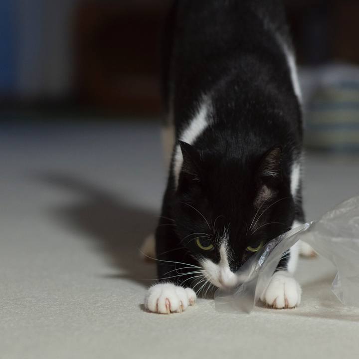 C152d031 0df0 445e 8c47 ae763c18a516