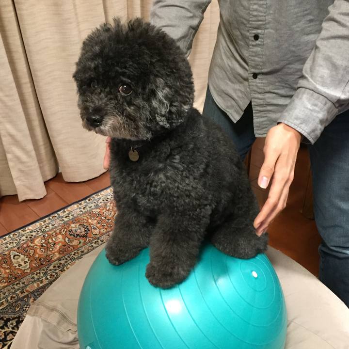 C1535fb1 5eca 456e 84eb ff4c92aac27e