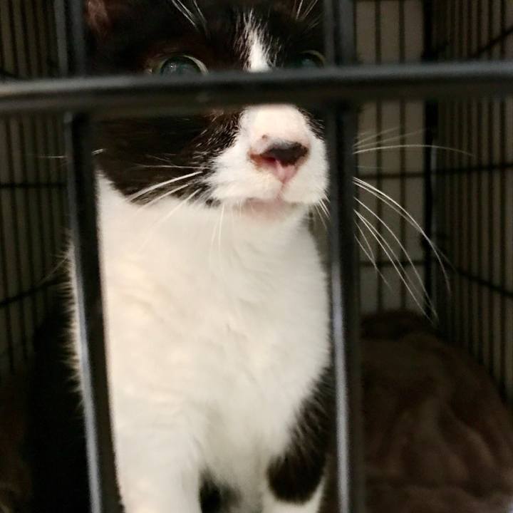 C153763e a5f1 4e91 b0eb b67239e376c1