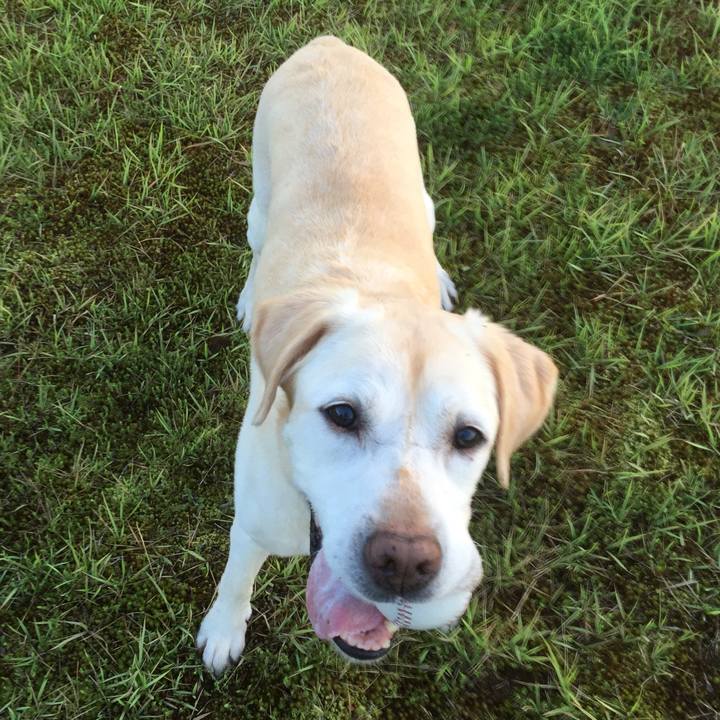 C153864d 3cc6 45fd 86a5 9b5d3f5b4834