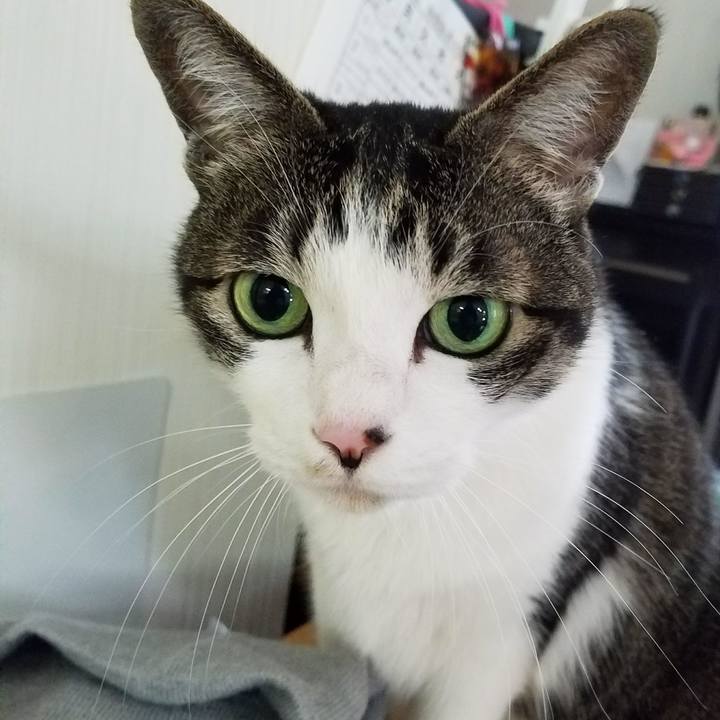 C1538df4 e3cc 472a b427 5cd195694b91