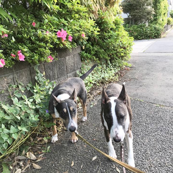 C153db21 19f0 40f2 b6ac 2a1305ba7fc5