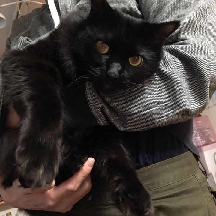 C1542a15 f627 4b67 abec ed39b6d9601a