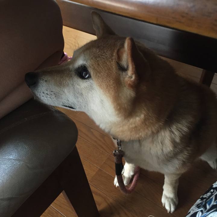 C15445d0 a1a6 4cb7 ba35 bc7c7873862d