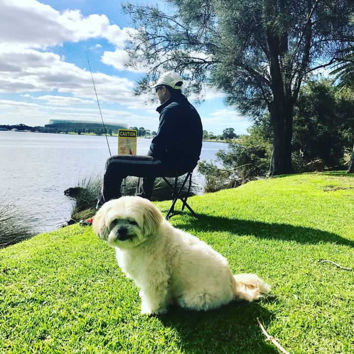 C1549357 768c 48f2 bbe2 8eb2008ae986