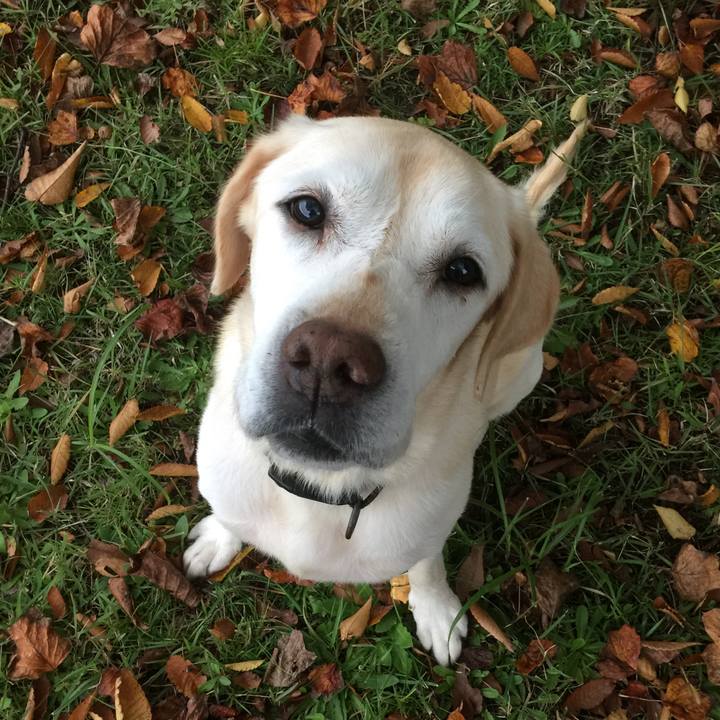 C154bd05 2038 4c44 b00c 9809ec380512