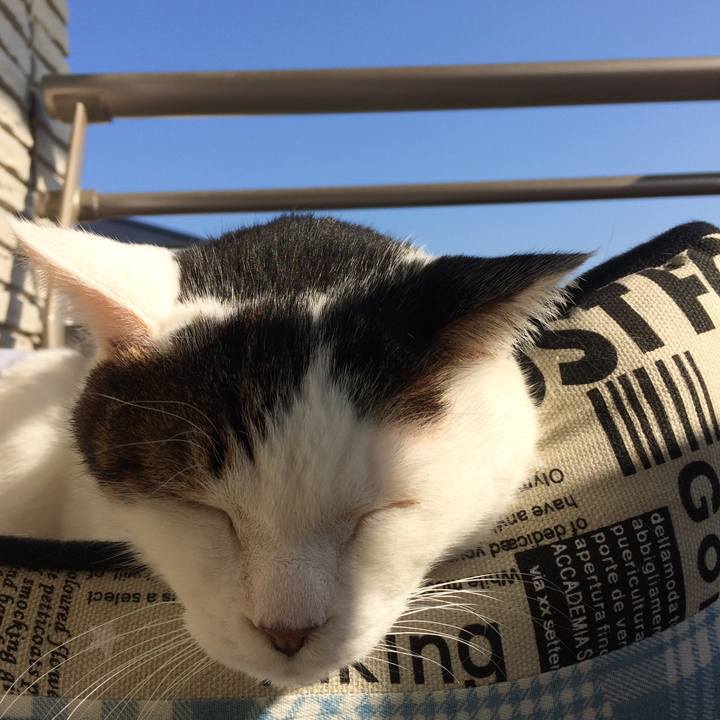 C15536ee 778f 4e48 8b05 ccbd2673f77a