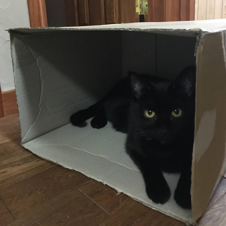 C155c9e8 43bd 4c8b 8869 cb7e523fc31b