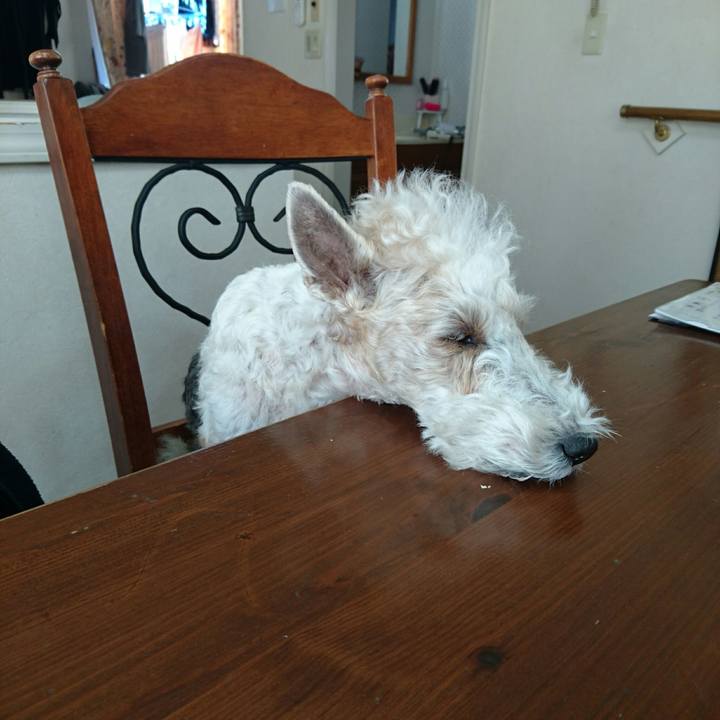 C156f950 20aa 46a4 a167 7f3e52c5067e