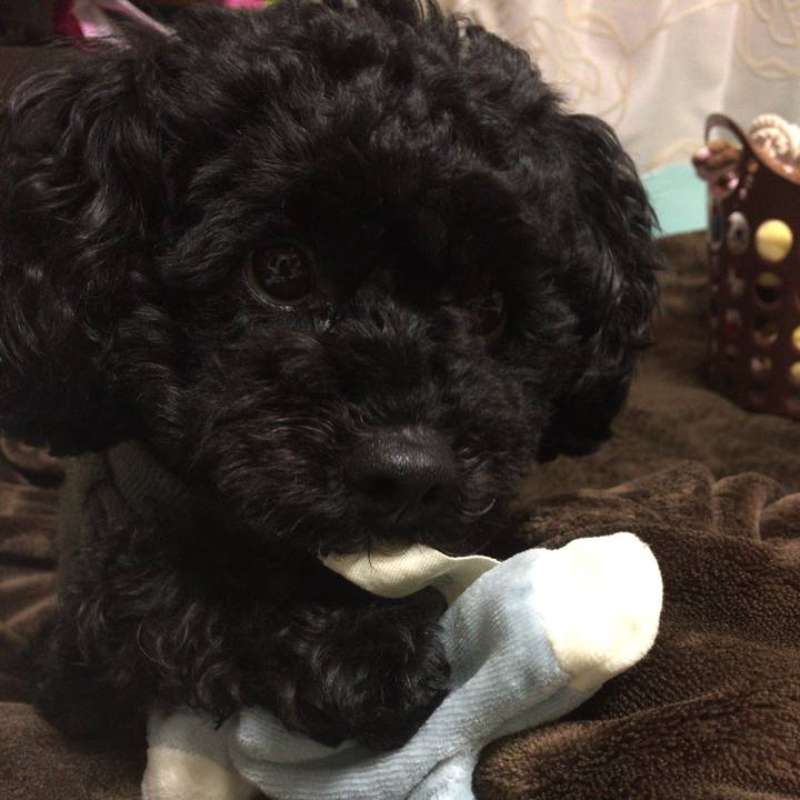 C15761ff 0af6 40a4 9207 615df5a9ac28