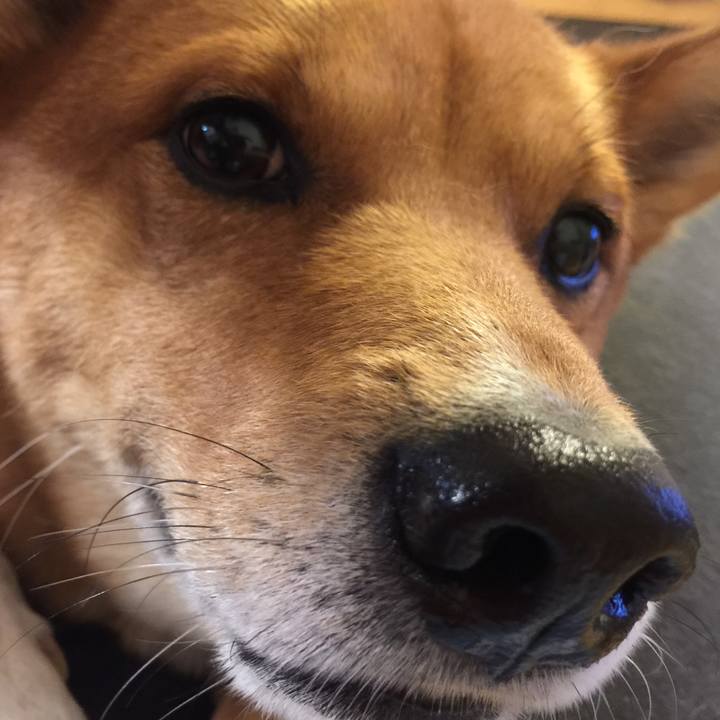 C1579107 e21c 4e54 a834 fb314023453d