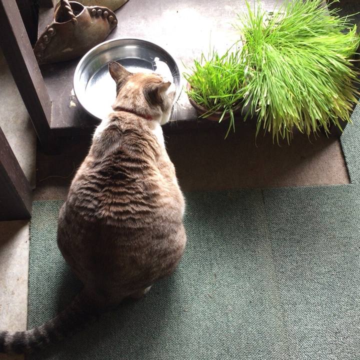 C157cb65 6365 47df aee2 c05d5ead015e