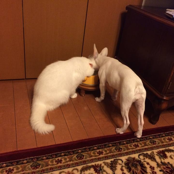 C158171e 7615 4e92 8561 a6acf2b11a84