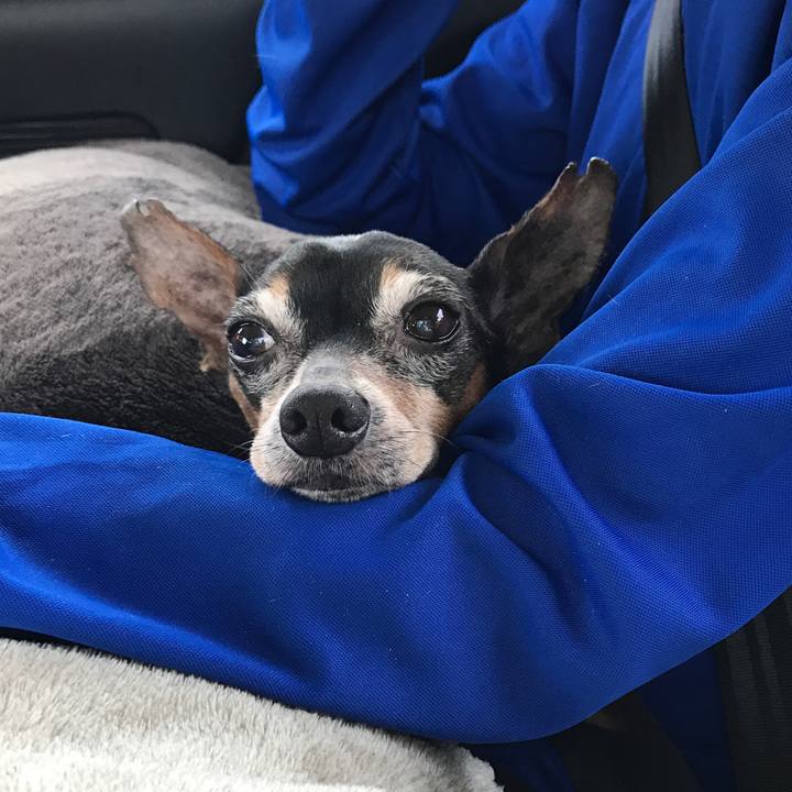 C1584473 86bd 48ee b086 e67c34834b72