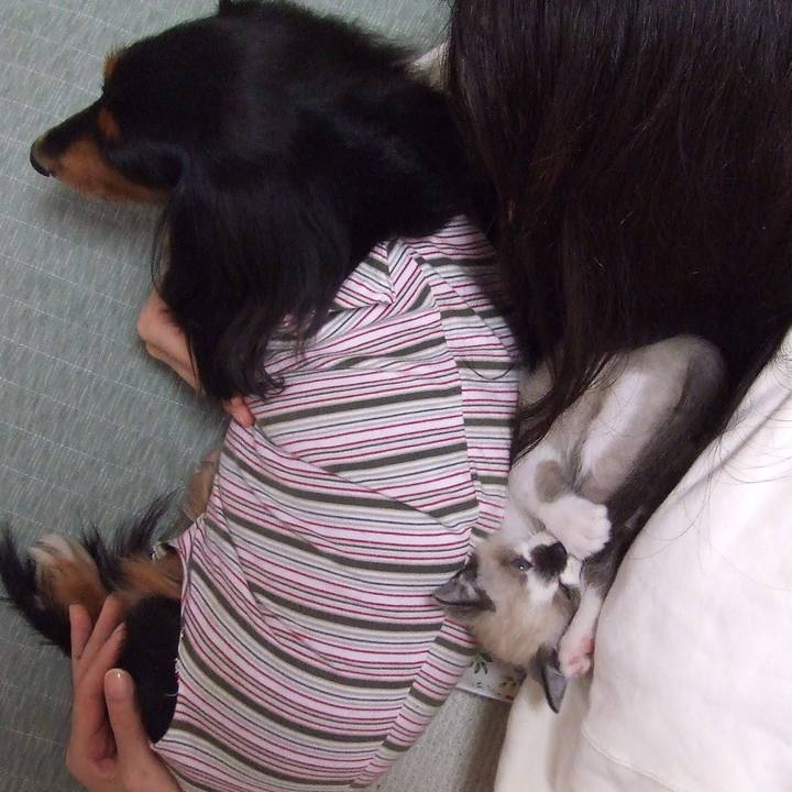 C15845c7 5c3e 4908 a415 83db202f314b