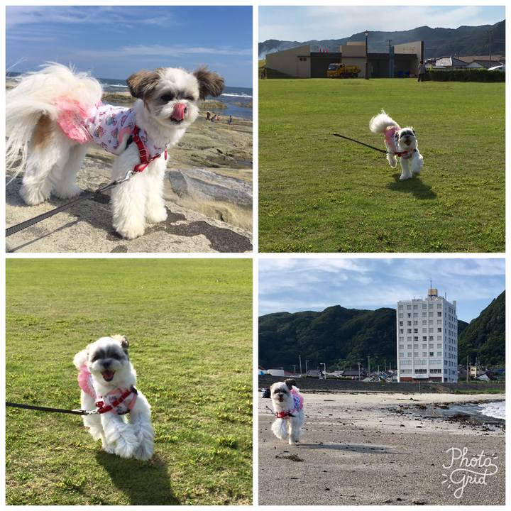 C1589c0d dc36 4017 90ac 3ad3326e6c67