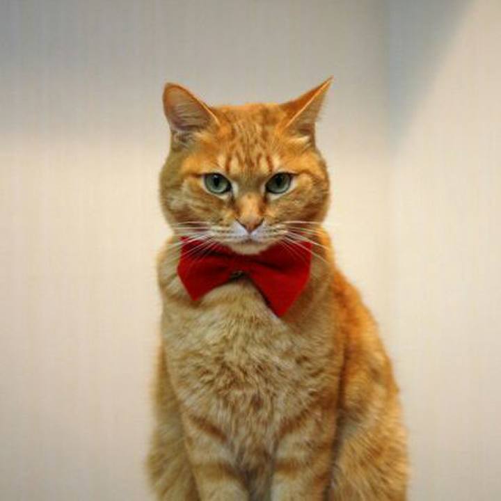 C15954cf 847f 49d3 85c3 7fffc4d5e268