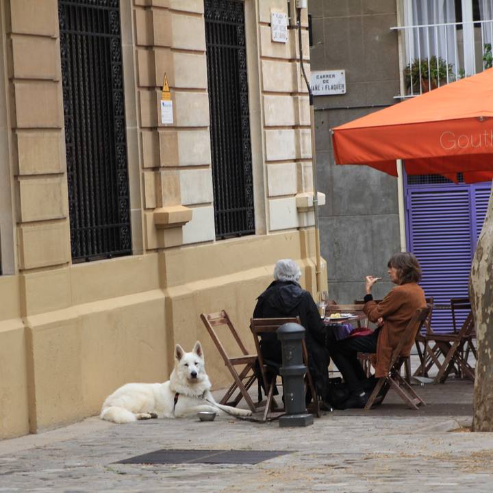 C159b873 8dad 42e6 95e7 d29a63459939