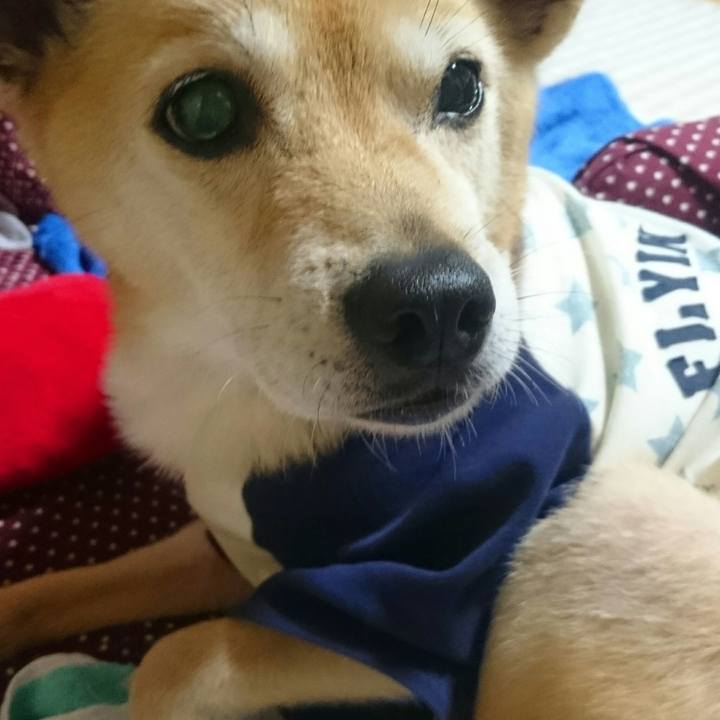 C159bc3a 8ad9 47d4 b441 8adfea5e19a9