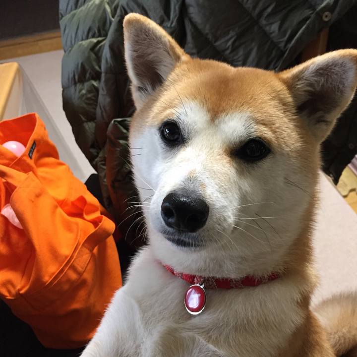 C15a8f67 42ce 4811 b29c becd7a66bf3e