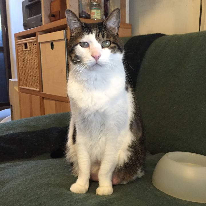 C15add04 ea34 44c1 856f 0638d977187d