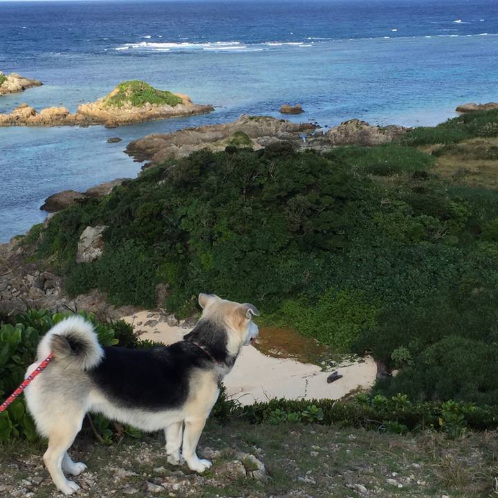 C15bfba0 588c 48a3 9d23 03f1779c999f